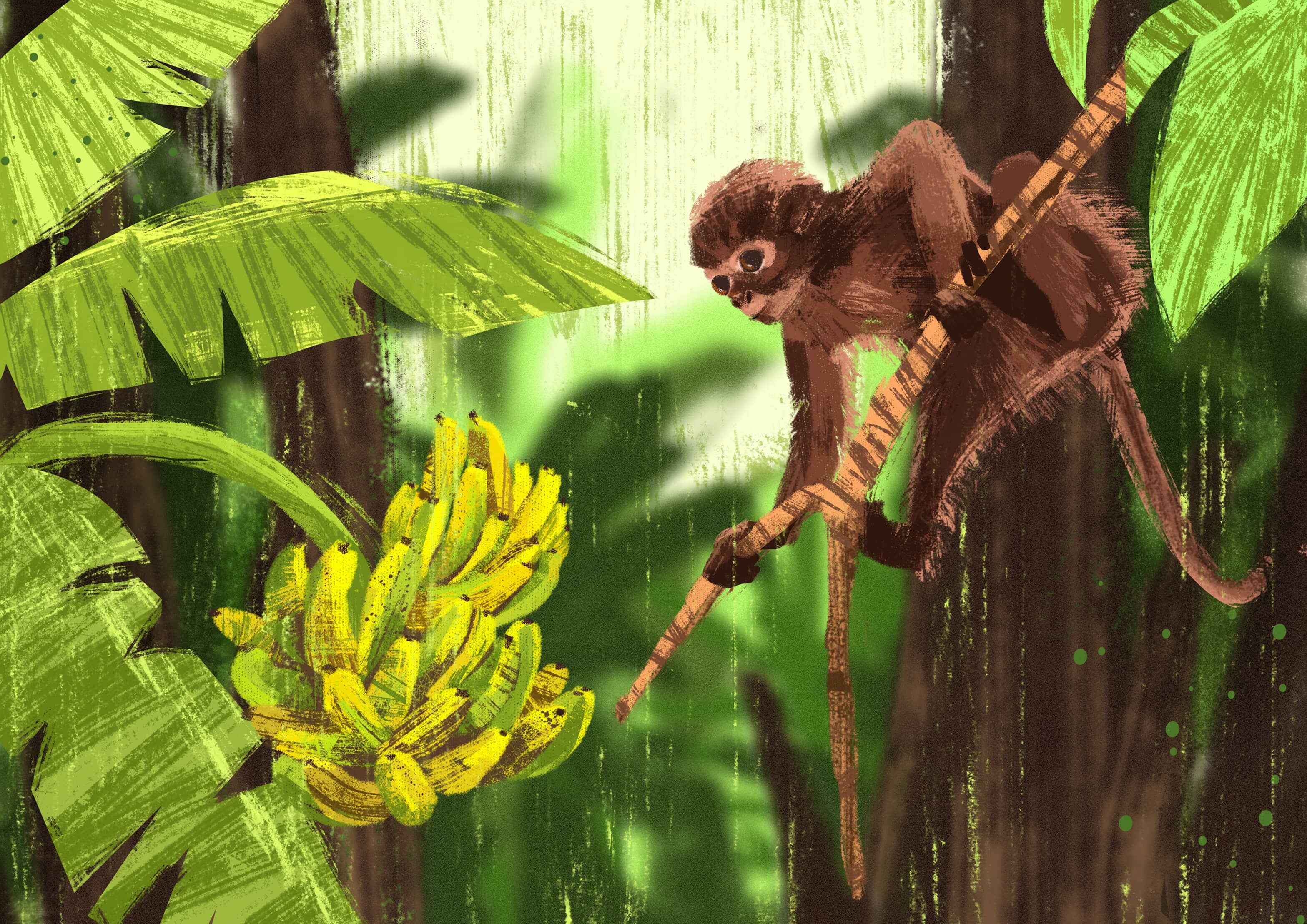 Animation and illustration image